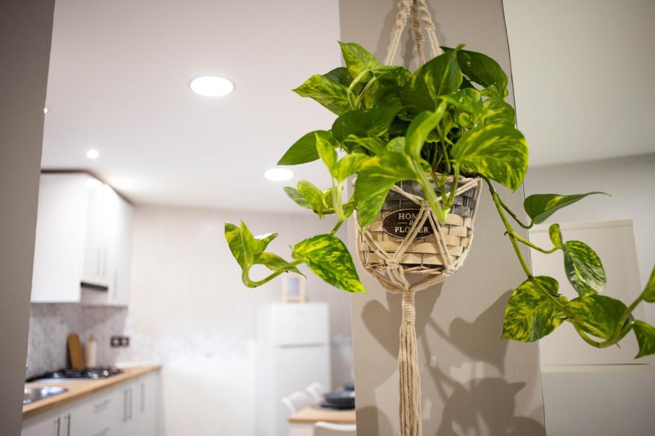 Apartmán La Pequena Vélez Rubio Exteriér fotografie
